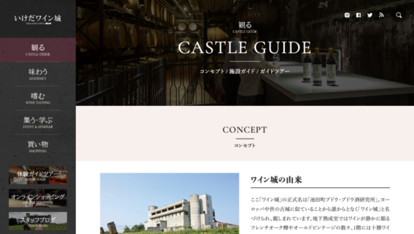 CASTLE GUIDE