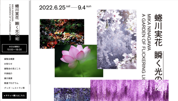 蜷川実花 瞬く光の庭