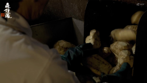 森伊蔵酒造｜公式サイト