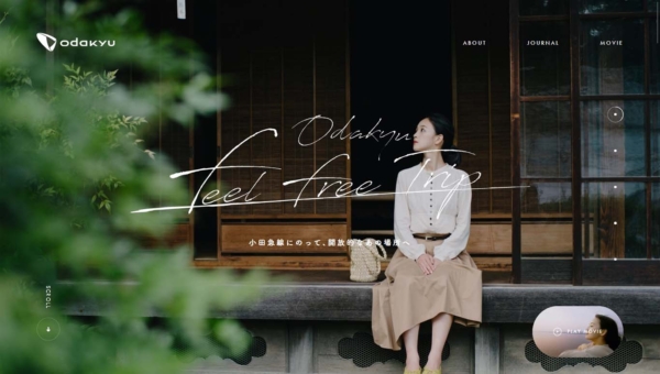 Odakyu feel free trip