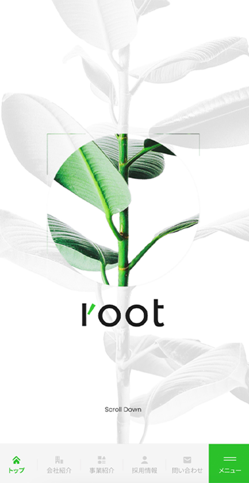 root