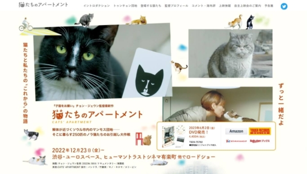 猫たちのアパートメント